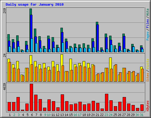 Daily usage for January 2010