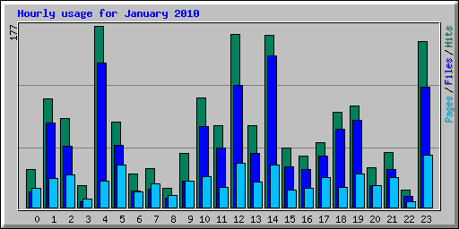 Hourly usage for January 2010